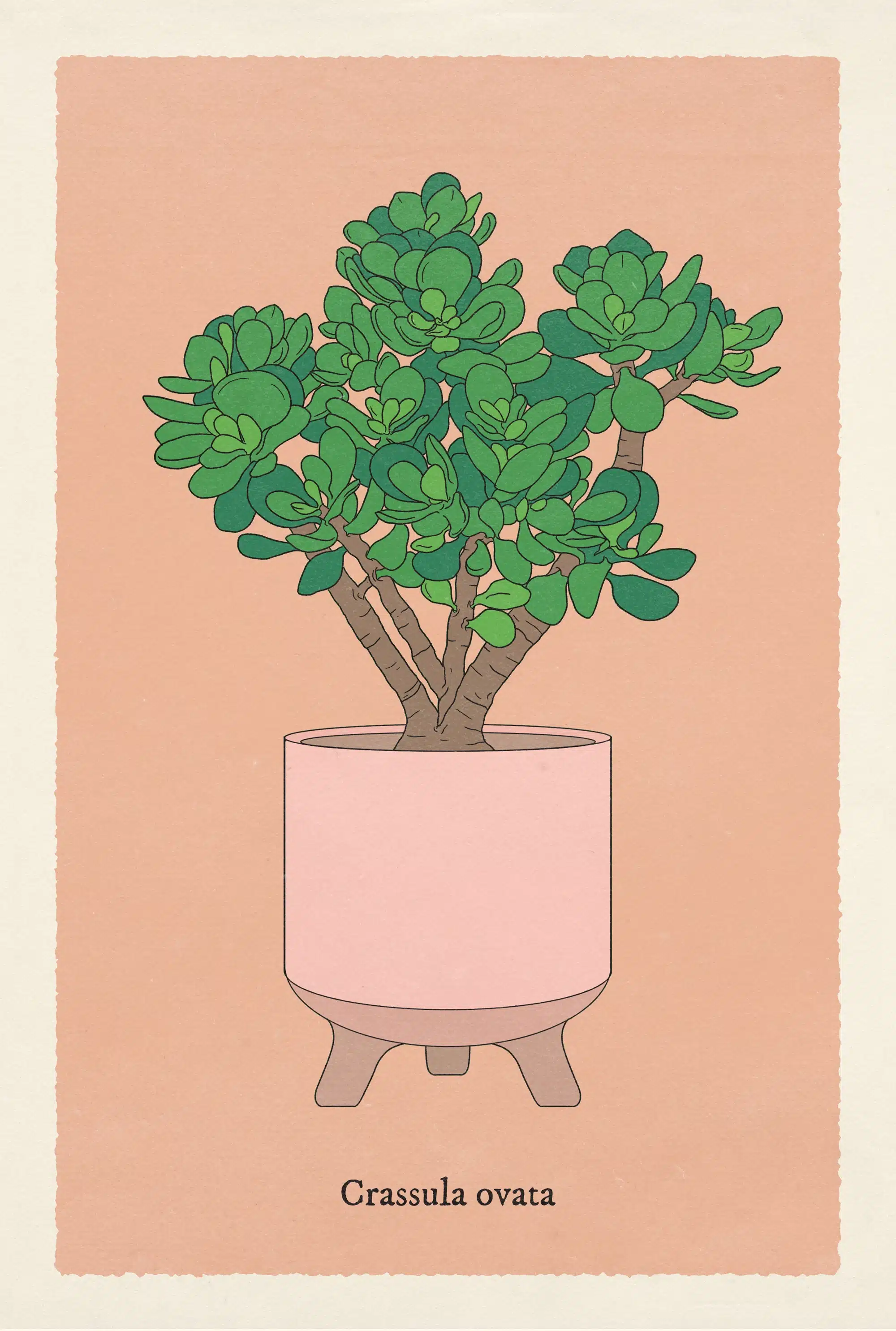 Illustrated advice card.