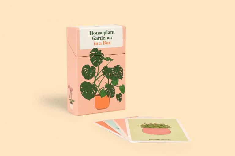 Image of a pale pink box with a stylised illustration of a Monstera plant in an orange pot on the front. The box lid has the title 'Houseplant Gardener in a Box' in a bold font. Several illustrated advice cards are fanned out in front of the box, showing different houseplant illustrations in pots.