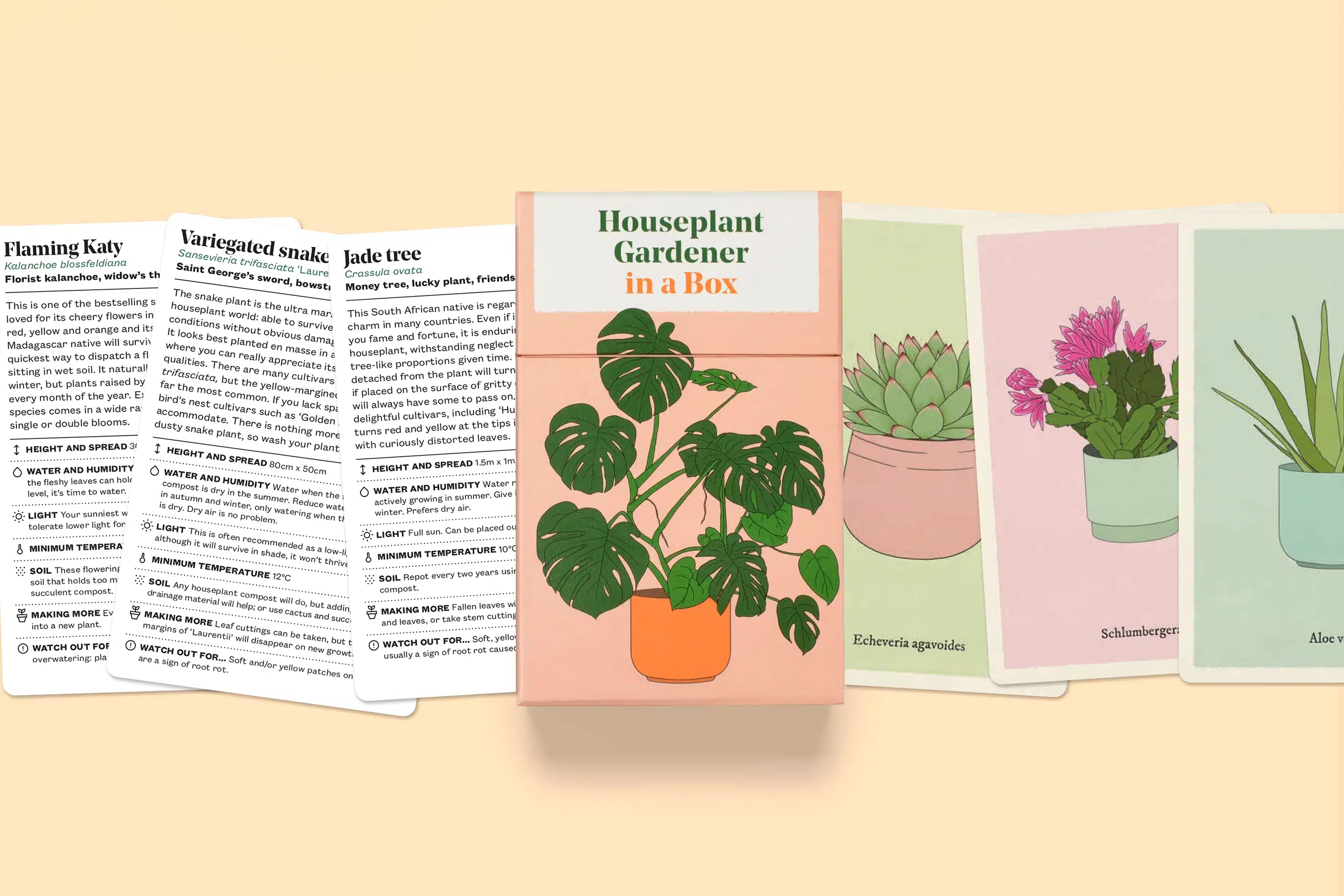 A sample range of the illustrated advice card set with the box that contains them.