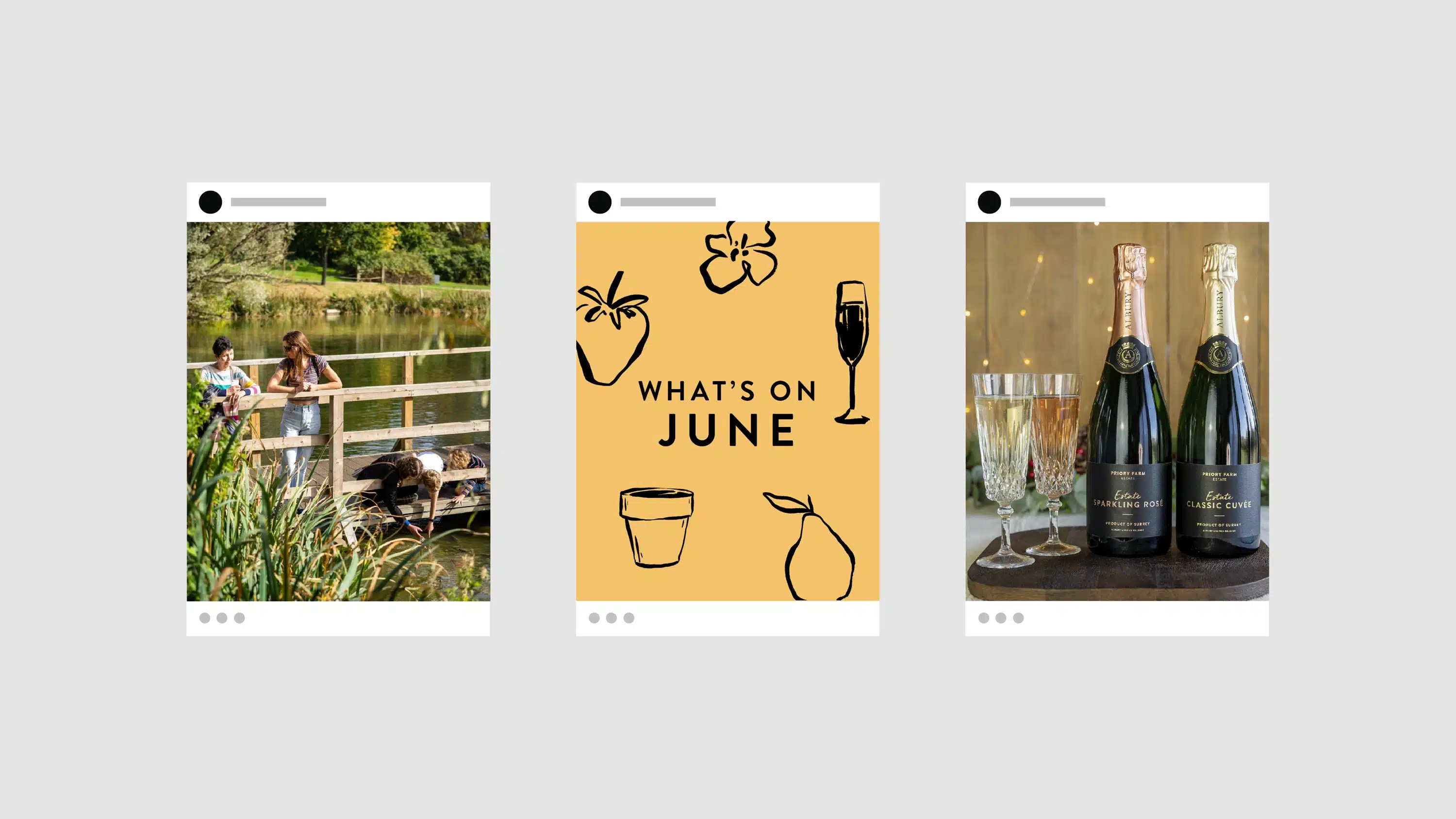 Three mockups of Instagram posts for Priory Farm Estate against a light grey background. The left post shows a photo of two people looking over a wooden fence at animals by a pond. The middle post has a yellow background with black line-art illustrations of a strawberry, flower, champagne flute, plant pot, and pear, and the text 'WHAT'S ON JUNE'. The right post shows two bottles of Priory Farm Estate sparkling wine and two filled crystal glasses on a wooden surface with warm, out-of-focus lights. All three posts have a white frame with a black circle at the top and three grey dots at the bottom, simulating the Instagram post interface. These mockups showcase the Priory Farm Estate content for social media, highlighting the variety of visuals and themes used in their Instagram posts.